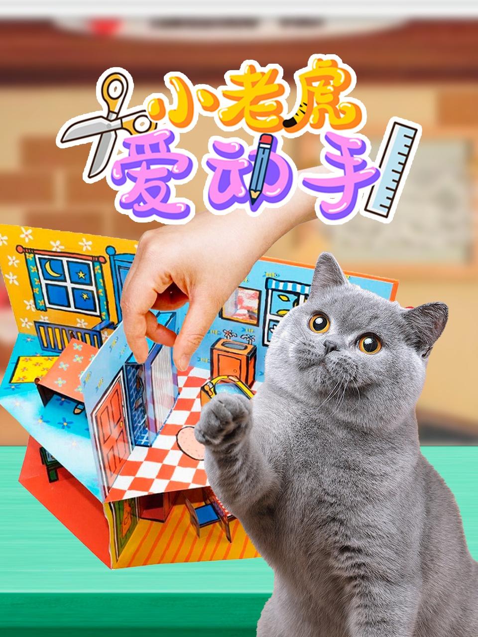 小老虎爱动手