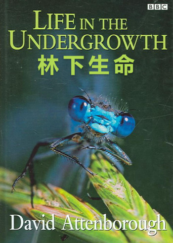 林下生命