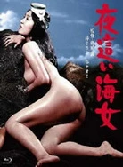 久久久成人毛片无码