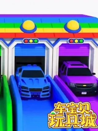 中国国产一级毛卡图片