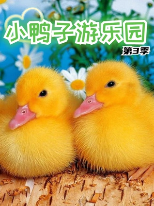小鸭子游乐园3