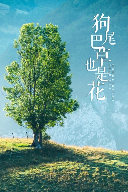 中国一级黄色,毛片